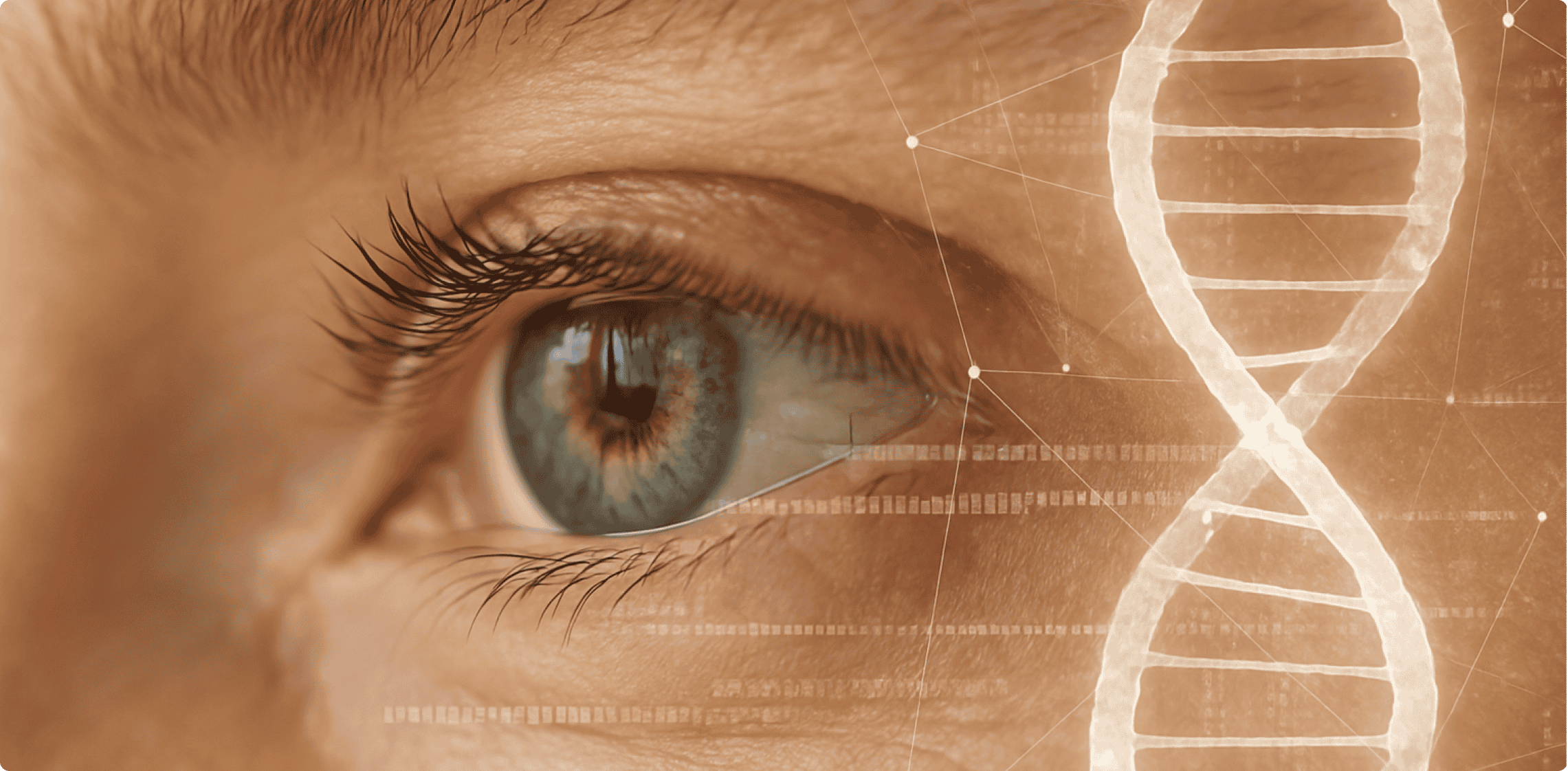 Estatísticas de Medicina Preventiva